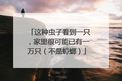 这种虫子看到一只，家里很可能已有一万只（不是蟑螂）
