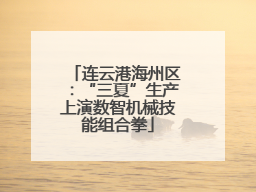 连云港海州区：“三夏”生产上演数智机械技能组合拳
