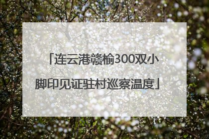连云港赣榆300双小脚印见证驻村巡察温度