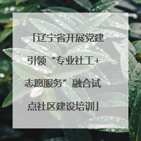 辽宁省开展党建引领“专业社工+志愿服务”融合试点社区建设培训