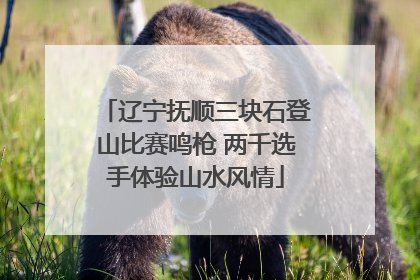 辽宁抚顺三块石登山比赛鸣枪 两千选手体验山水风情