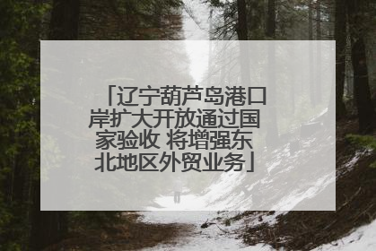 辽宁葫芦岛港口岸扩大开放通过国家验收 将增强东北地区外贸业务