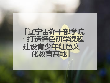 辽宁雷锋干部学院：打造特色研学课程 建设青少年红色文化教育高地