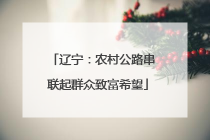 辽宁：农村公路串联起群众致富希望