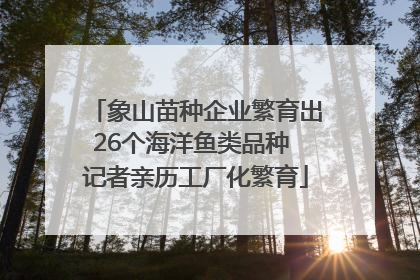 象山苗种企业繁育出26个海洋鱼类品种 记者亲历工厂化繁育