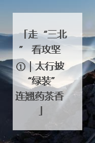 走“三北” 看攻坚①｜太行披“绿装” 连翘药茶香