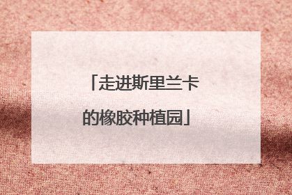 走进斯里兰卡的橡胶种植园