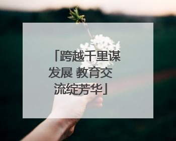 跨越千里谋发展 教育交流绽芳华
