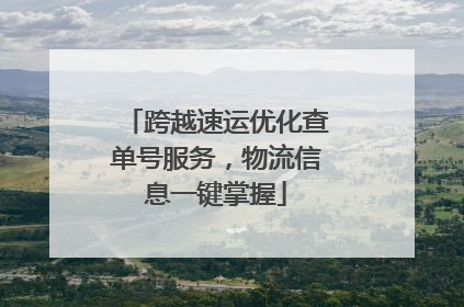 跨越速运优化查单号服务，物流信息一键掌握
