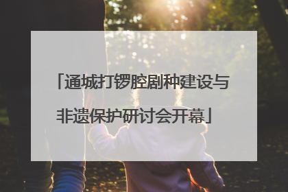通城打锣腔剧种建设与非遗保护研讨会开幕