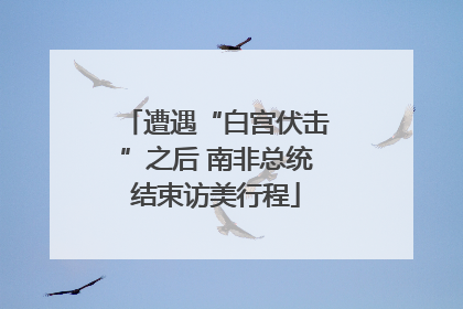遭遇“白宫伏击”之后 南非总统结束访美行程