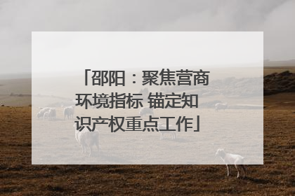 邵阳：聚焦营商环境指标 锚定知识产权重点工作