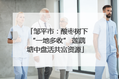邹平市：酸枣树下“一地多收” 莲藕塘中盘活共富资源