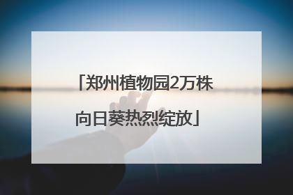 郑州植物园2万株向日葵热烈绽放