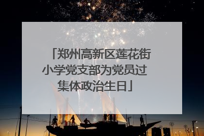 郑州高新区莲花街小学党支部为党员过集体政治生日