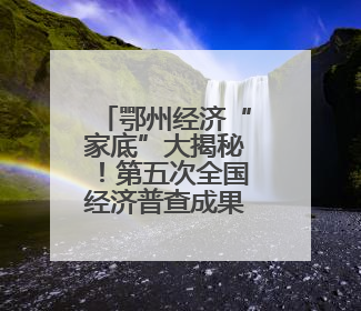 鄂州经济“家底”大揭秘！第五次全国经济普查成果出炉