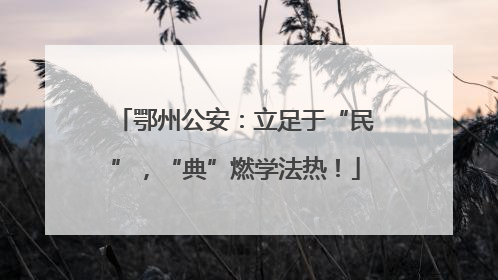 鄂州公安：立足于“民”，“典”燃学法热！