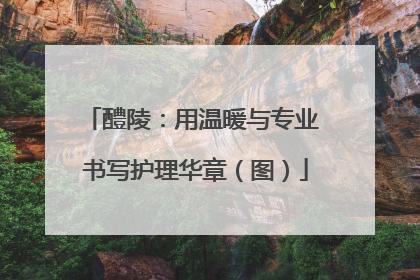 醴陵：用温暖与专业 书写护理华章（图）