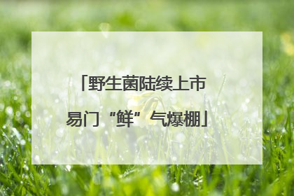 野生菌陆续上市 易门“鲜”气爆棚