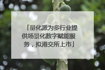 量化派为多行业提供场景化数字赋能服务，拟港交所上市