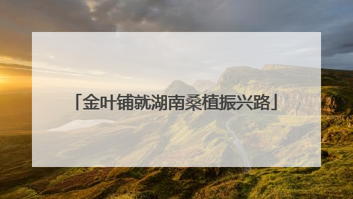 金叶铺就湖南桑植振兴路