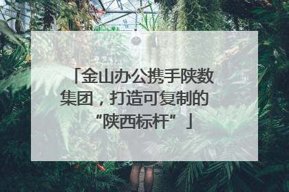 金山办公携手陕数集团，打造可复制的“陕西标杆”