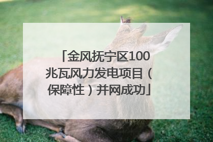 金风抚宁区100兆瓦风力发电项目（保障性）并网成功