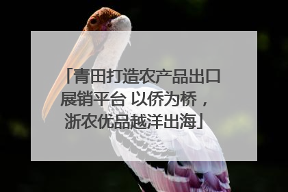 青田打造农产品出口展销平台 以侨为桥，浙农优品越洋出海