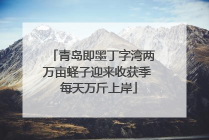青岛即墨丁字湾两万亩蛏子迎来收获季 每天万斤上岸