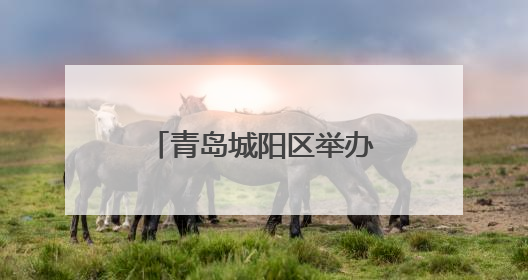 青岛城阳区举办工会主席直播带岗专场招聘会