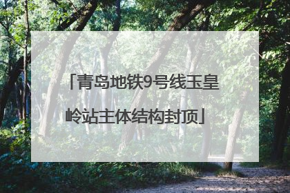 青岛地铁9号线玉皇岭站主体结构封顶