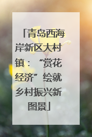 青岛西海岸新区大村镇：“赏花经济”绘就乡村振兴新图景