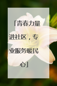 青春力量进社区，专业服务暖民心