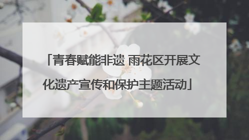青春赋能非遗 雨花区开展文化遗产宣传和保护主题活动