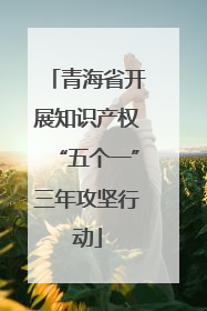 青海省开展知识产权“五个一”三年攻坚行动