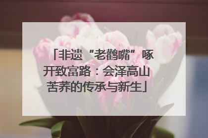 非遗“老鹳嘴”啄开致富路：会泽高山苦荞的传承与新生