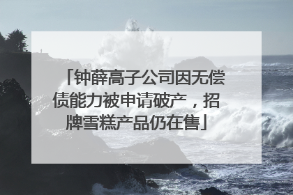 钟薛高子公司因无偿债能力被申请破产，招牌雪糕产品仍在售
