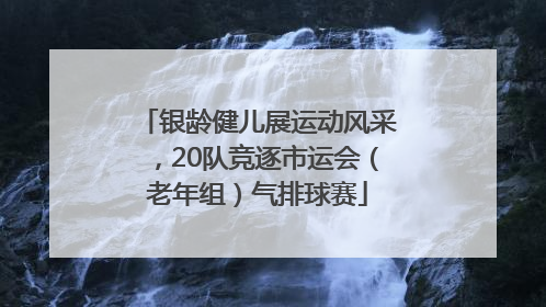 银龄健儿展运动风采，20队竞逐市运会（老年组）气排球赛