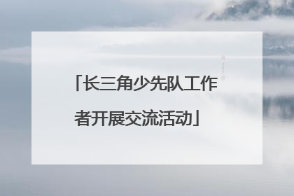 长三角少先队工作者开展交流活动