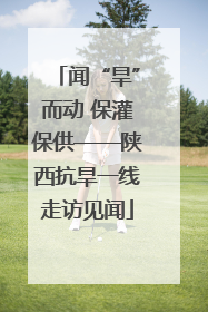 闻“旱”而动 保灌保供——陕西抗旱一线走访见闻