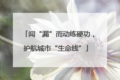 闻“漏”而动练硬功，护航城市“生命线”