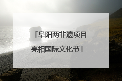 阜阳两非遗项目亮相国际文化节