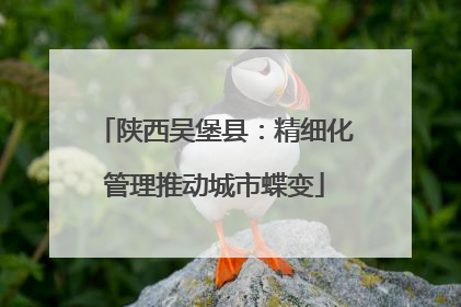 陕西吴堡县：精细化管理推动城市蝶变