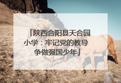陕西合阳县天合园小学：牢记党的教导 争做强国少年