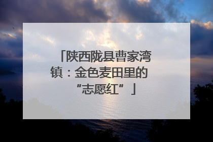 陕西陇县曹家湾镇：金色麦田里的“志愿红”
