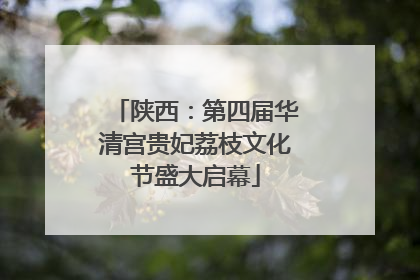 陕西：第四届华清宫贵妃荔枝文化节盛大启幕