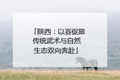 陕西：以赛促旅 传统武术与自然生态双向奔赴