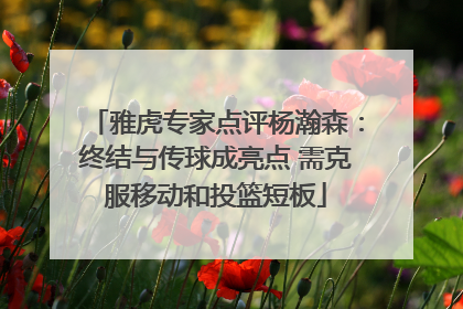雅虎专家点评杨瀚森：终结与传球成亮点 需克服移动和投篮短板