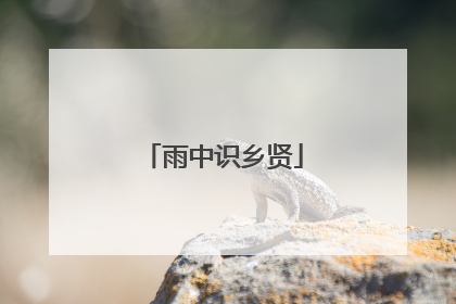 雨中识乡贤