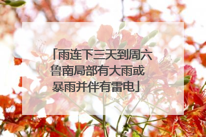 雨连下三天到周六 鲁南局部有大雨或暴雨并伴有雷电